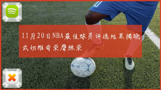 11月20日NBA最佳球员评选结果揭晓武切维奇荣膺殊荣